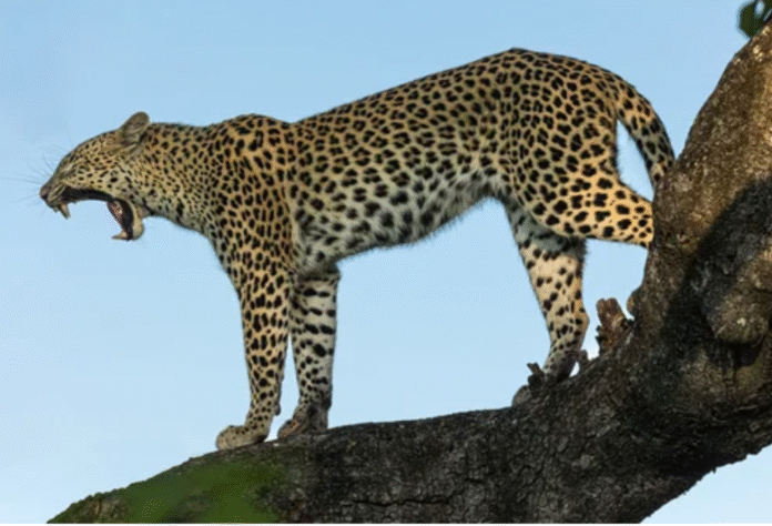 Screenshot_20251119-213900